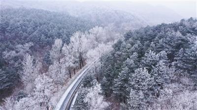 [代表委员风采录]扎根基层为民发声